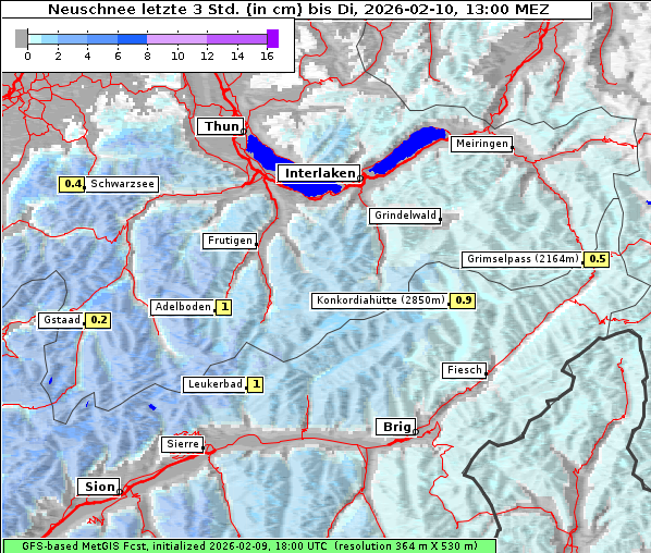 Neuschnee, 10. 2. 2026