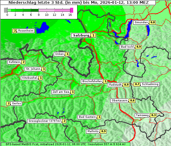 Niederschlag, 12. 1. 2026