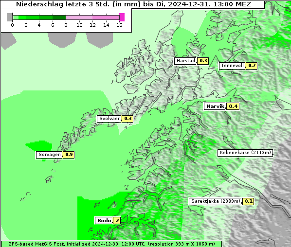 Niederschlag, 31. 12. 2024