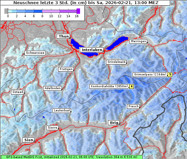 Neuschnee, 21. 2. 2026
