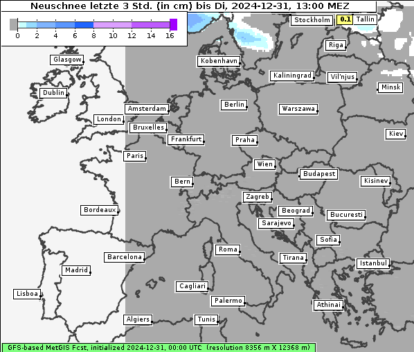 Neuschnee, 31. 12. 2024