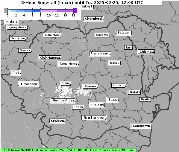 Neuschnee, 25. 2. 2025