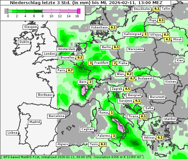 Niederschlag, 11. 2. 2026
