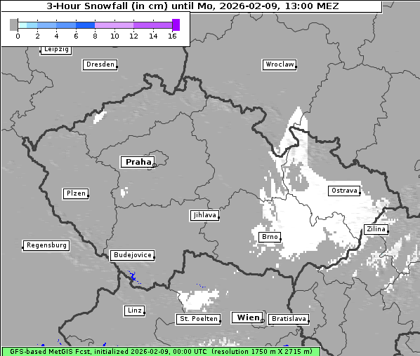 Neuschnee, 9. 2. 2026