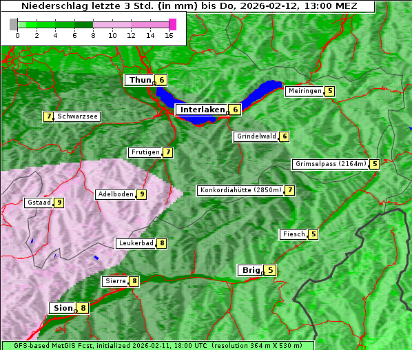 Niederschlag, 12. 2. 2026