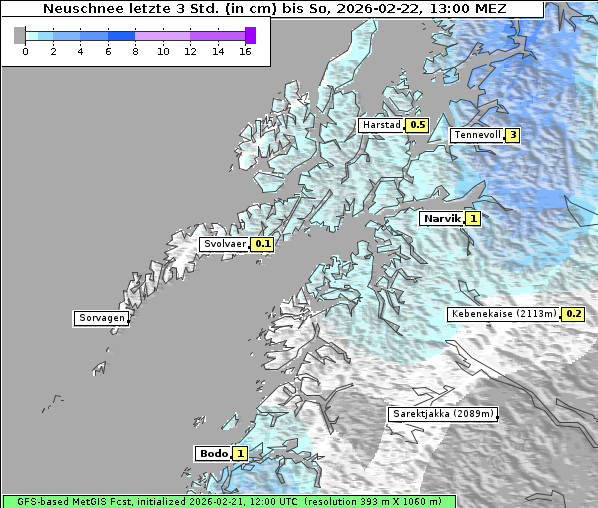 Neuschnee, 22. 2. 2026
