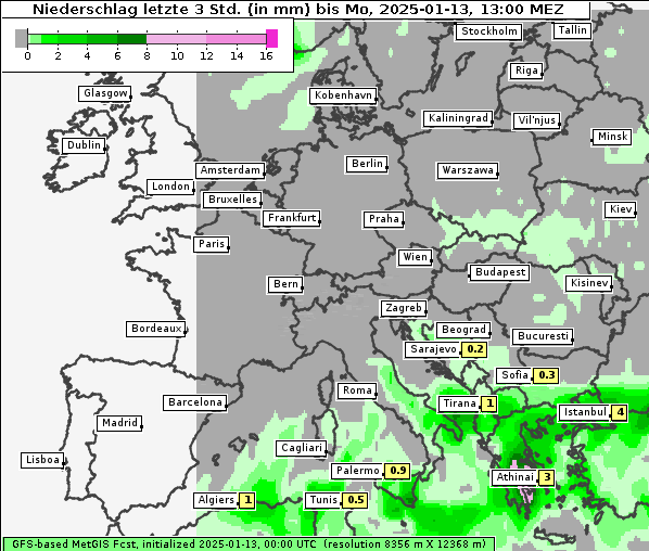 Niederschlag, 13. 1. 2025