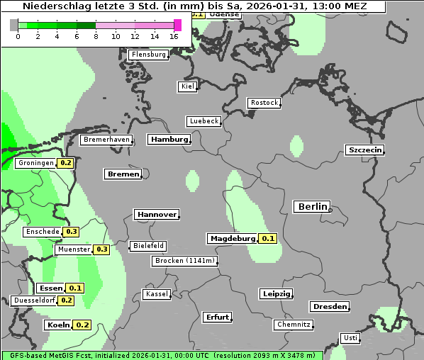 Niederschlag, 31. 1. 2026