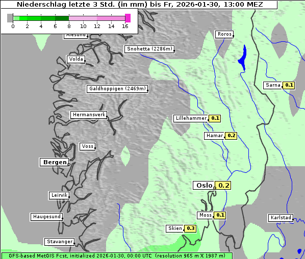 Niederschlag, 30. 1. 2026