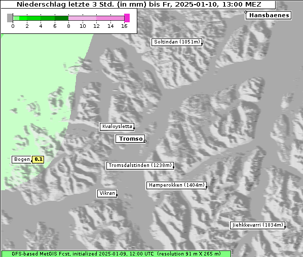 Niederschlag, 10. 1. 2025