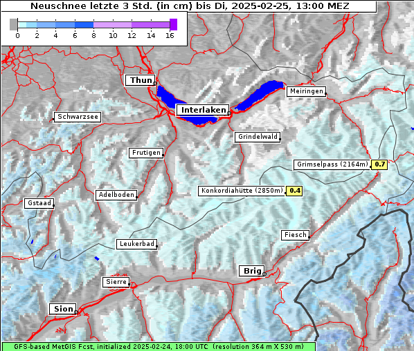 Neuschnee, 25. 2. 2025