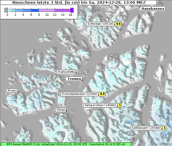 Neuschnee, 28. 12. 2024