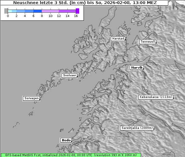 Neuschnee, 8. 2. 2026