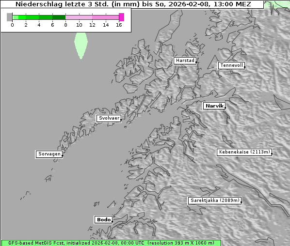 Niederschlag, 8. 2. 2026