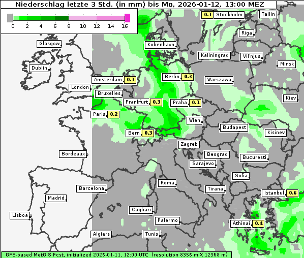 Niederschlag, 12. 1. 2026
