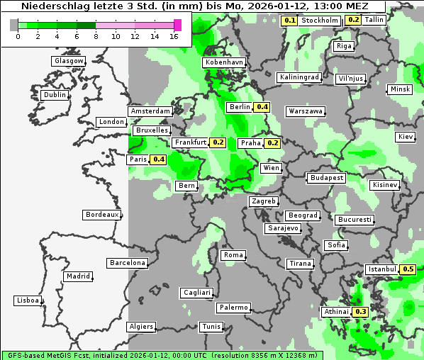 Niederschlag, 12. 1. 2026