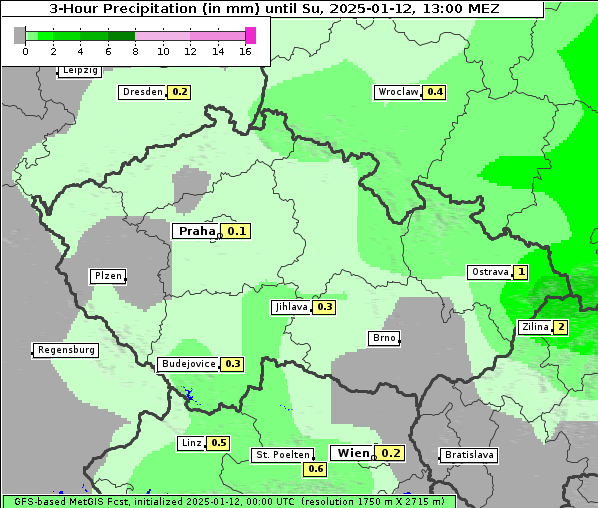Niederschlag, 12. 1. 2025