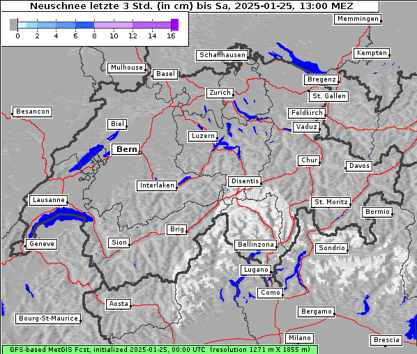 Neuschnee, 25. 1. 2025