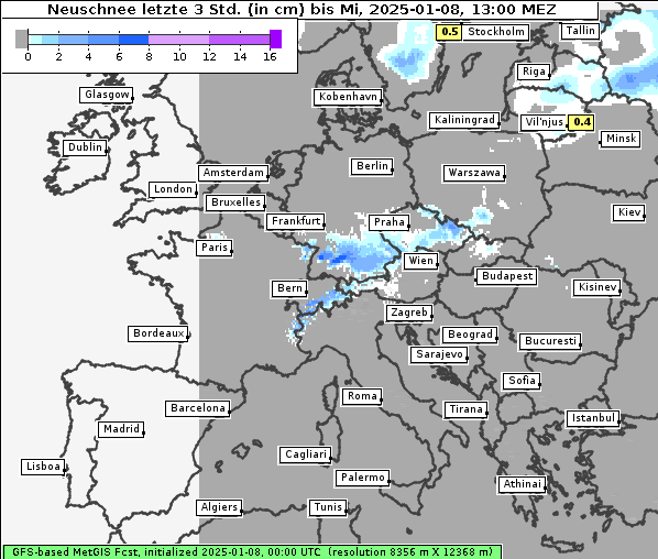 Neuschnee, 8. 1. 2025