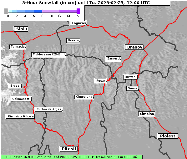 Neuschnee, 25. 2. 2025