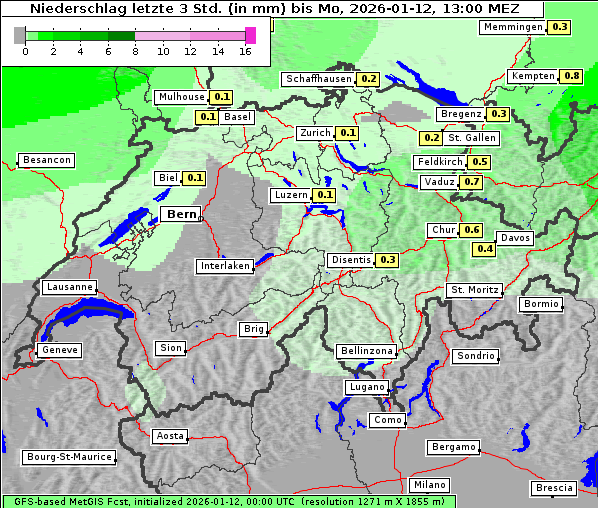 Niederschlag, 12. 1. 2026
