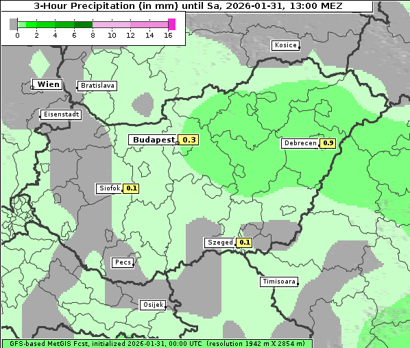 Niederschlag, 31. 1. 2026