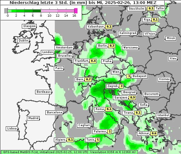 Niederschlag, 26. 2. 2025