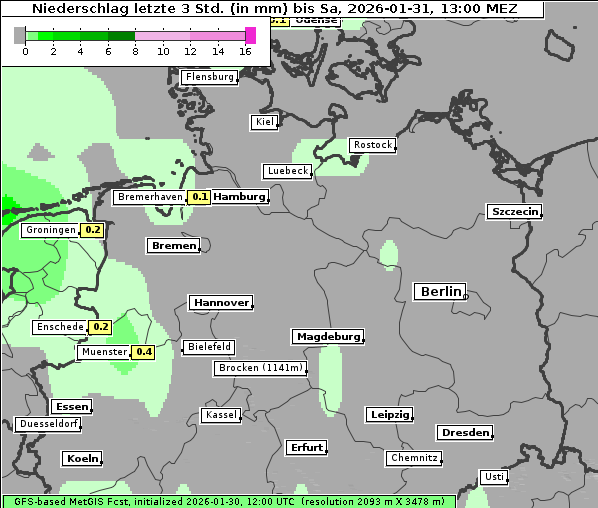 Niederschlag, 31. 1. 2026