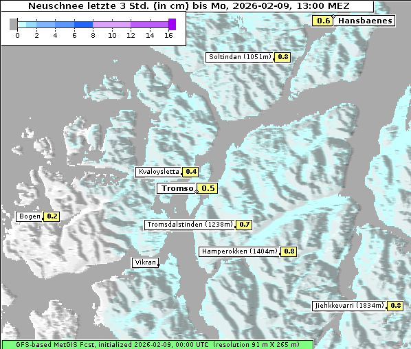 Neuschnee, 9. 2. 2026
