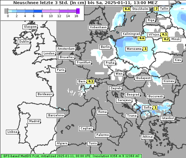 Neuschnee, 11. 1. 2025