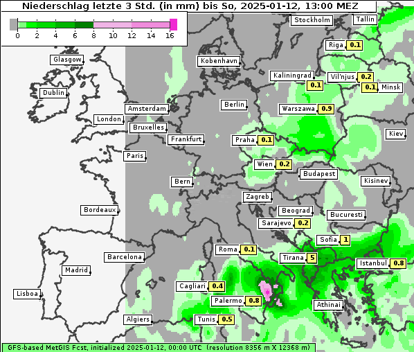 Niederschlag, 12. 1. 2025