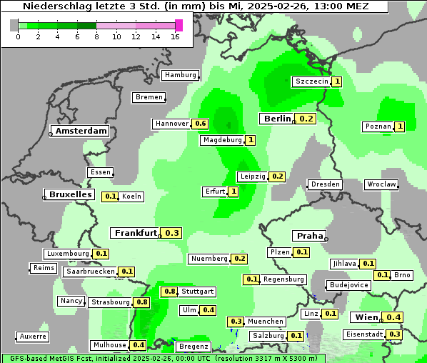 Niederschlag, 26. 2. 2025