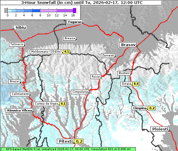 Neuschnee, 17. 2. 2026