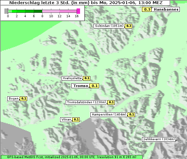 Niederschlag, 6. 1. 2025