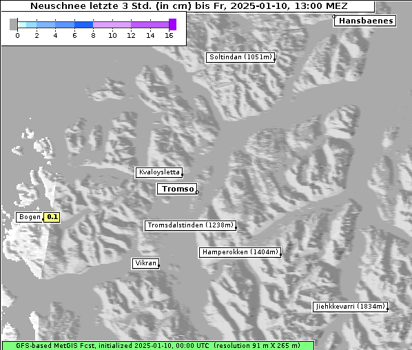 Neuschnee, 10. 1. 2025