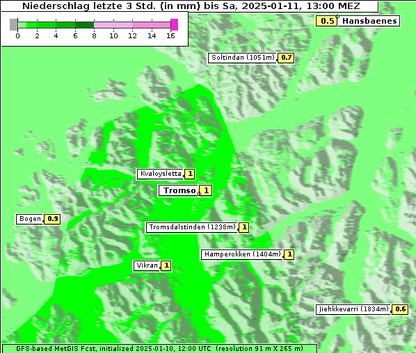 Niederschlag, 11. 1. 2025