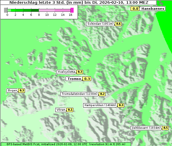 Niederschlag, 10. 2. 2026