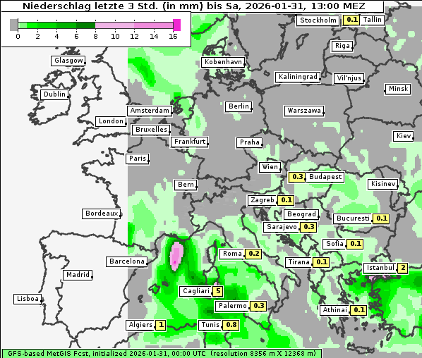 Niederschlag, 31. 1. 2026