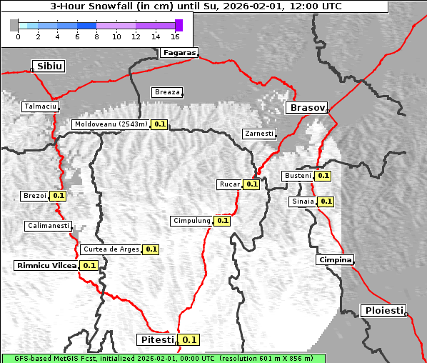 Neuschnee, 1. 2. 2026
