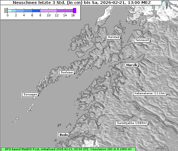 Neuschnee, 21. 2. 2026