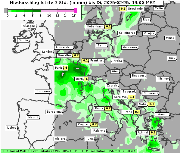 Niederschlag, 25. 2. 2025