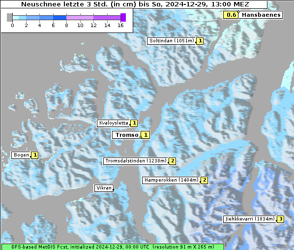 Neuschnee, 29. 12. 2024