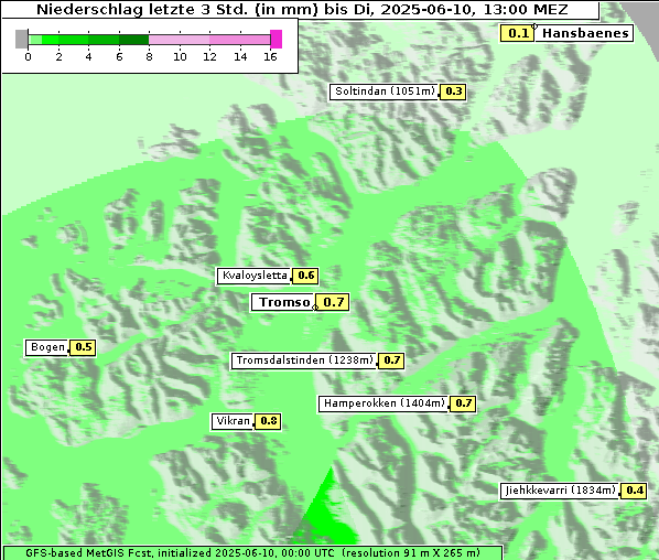 Niederschlag, 10. 6. 2025