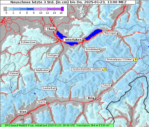 Neuschnee, 23. 1. 2025