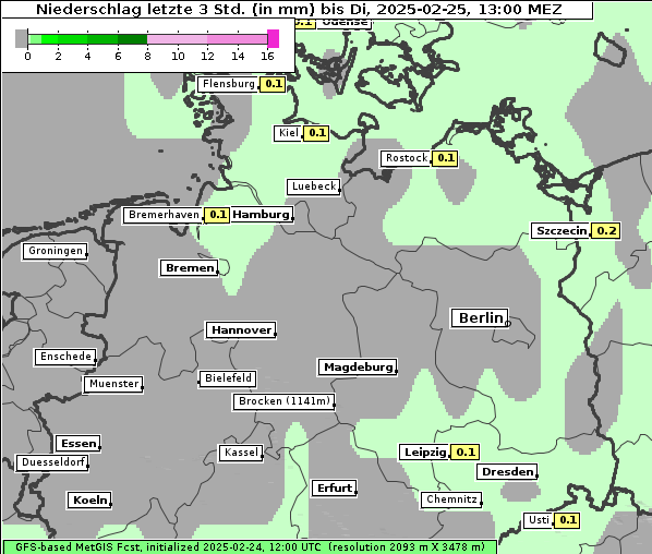 Niederschlag, 25. 2. 2025