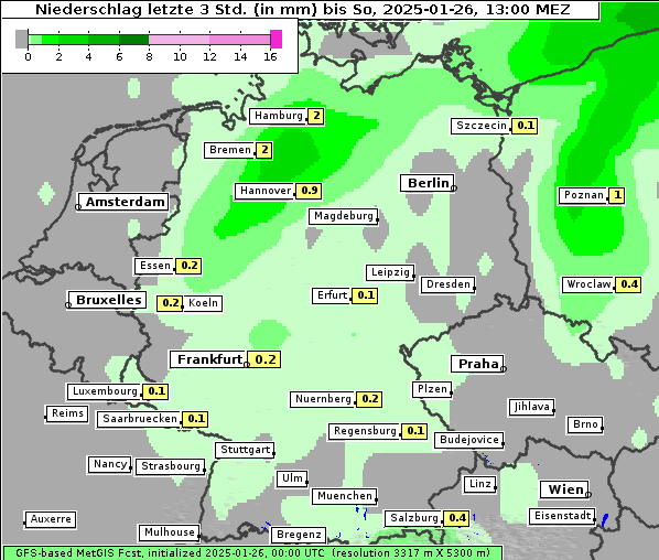 Niederschlag, 26. 1. 2025