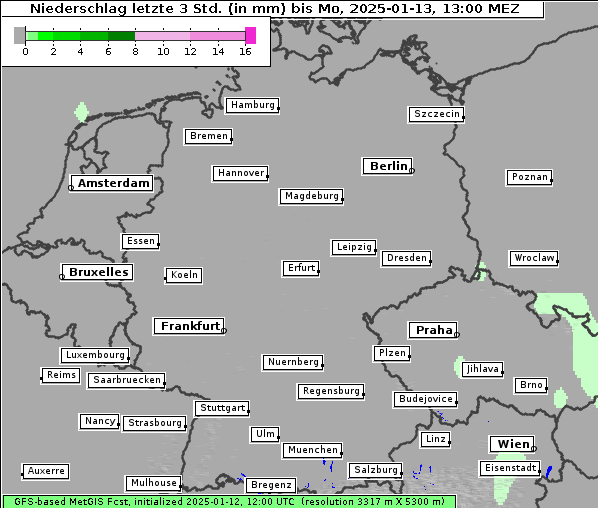 Niederschlag, 13. 1. 2025