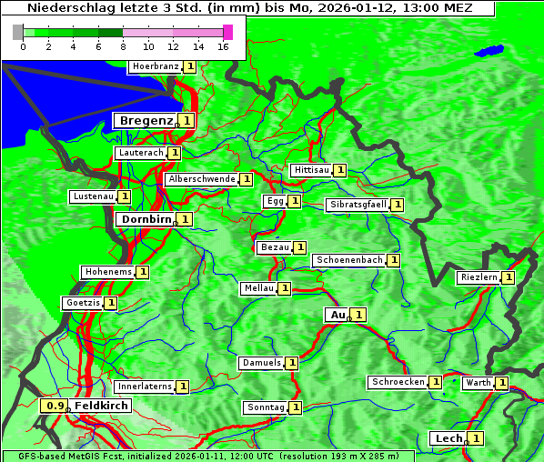 Niederschlag, 12. 1. 2026