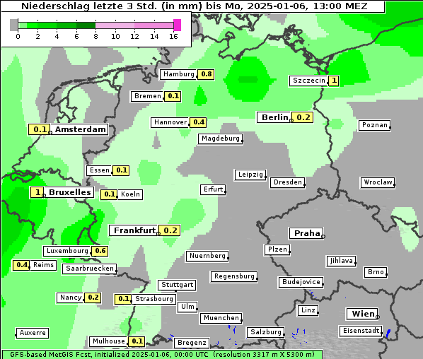 Niederschlag, 6. 1. 2025