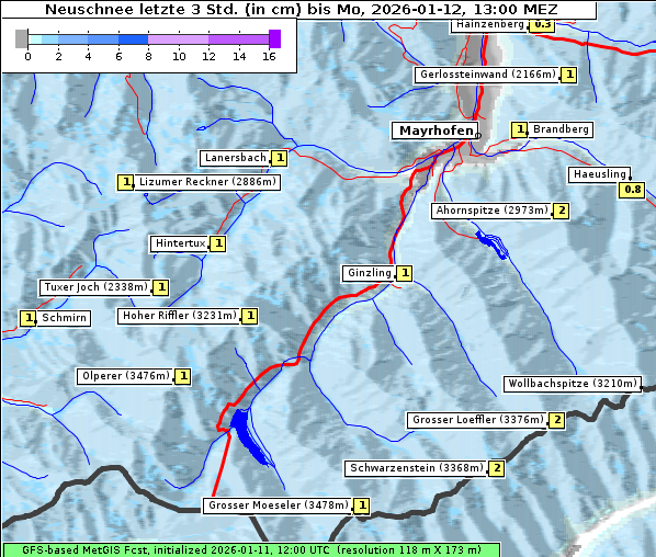 Neuschnee, 12. 1. 2026
